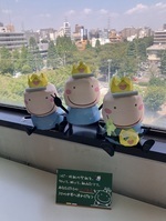 作り方動画のイメージ写真1